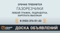 �7 ����� ����������: �� ����� | ��������� | ���� | �������������