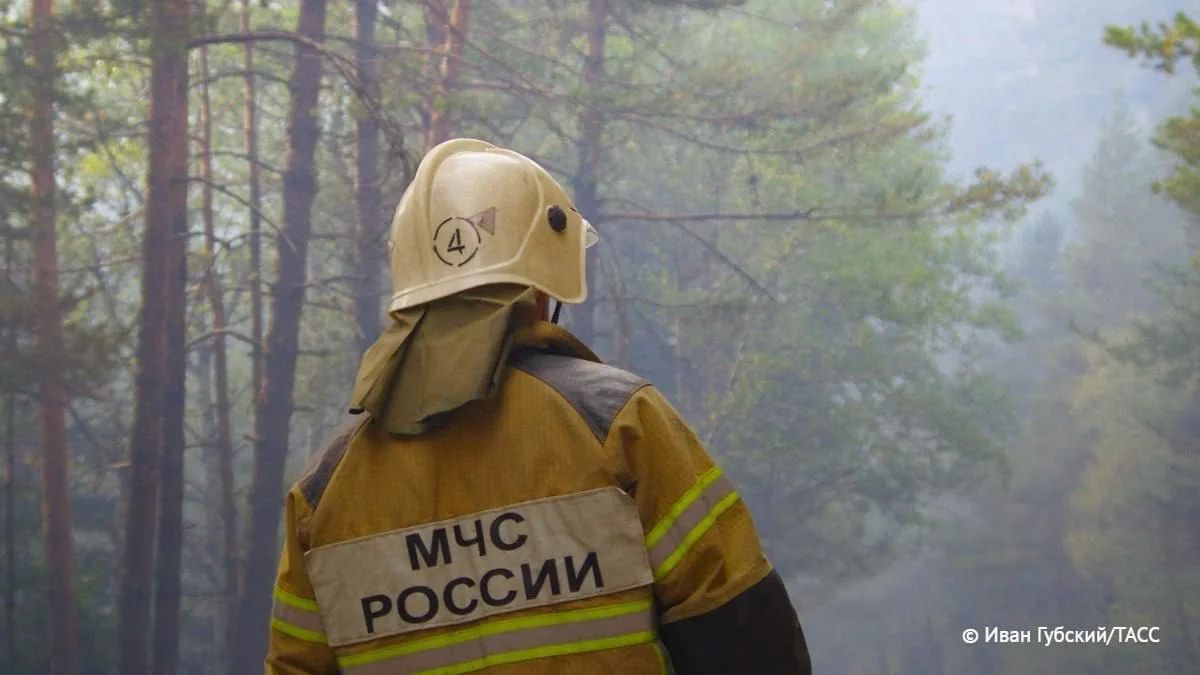 Площадь лесных пожаров в Красноярском крае за сутки сократилась на 50 тыс