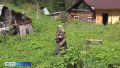 Волонтёры покинули заимку Агафьи Лыковой на Еринате