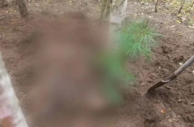 Разодрал и прикопал. В СК рассказали подробности об убийстве женщин медведем