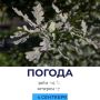 ������ �������. @gornovosti ����������� � �� | ����������� � ���