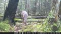 ������������, ��� ��� �� ����������� � ������������� ���� ��� ����� �����