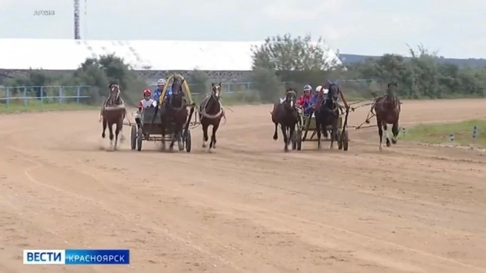 В Емельянове пройдут состязания сельских конников