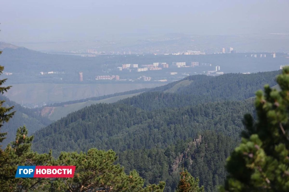 В фанпарке «Бобровый лог» заметили медведя