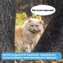 Музей-усадьба В.И. Сурикова закрывается на реставрацию с 14 сентября