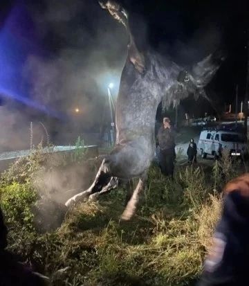 В селе Иджа лошадь упала в открытый колодец В селе Иджа лошадь упала в открытый колодец