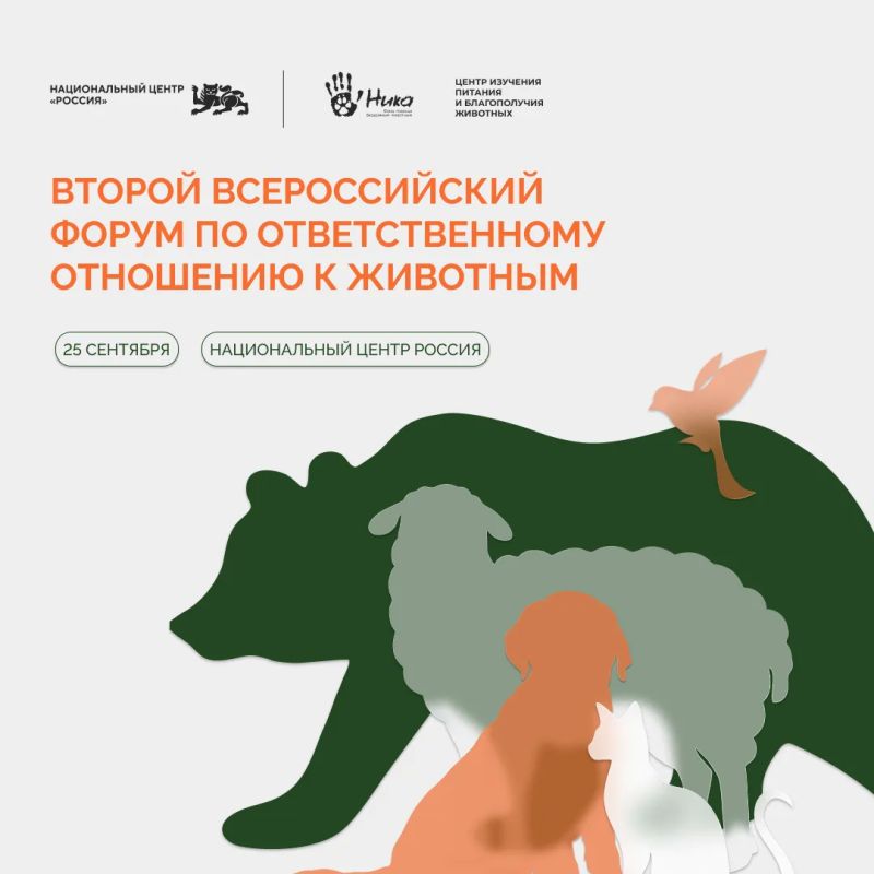 Стартовал приём заявок на Вторую Всероссийскую премию ответственного отношения к животным
