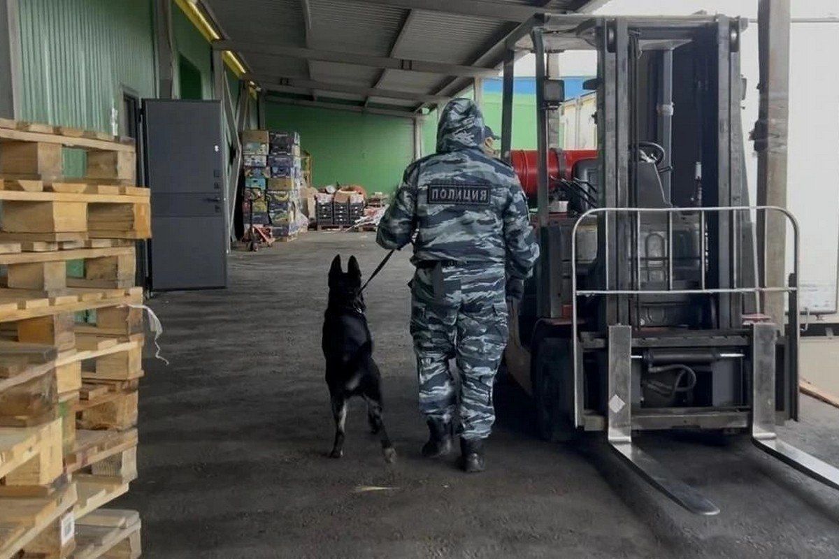 В Красноярске на оптовом складе, расположенном в Центральном районе города, прошел рейд силовиков в рамках проверки соблюдения миграционного законодательства