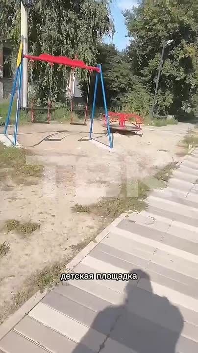 «Просто городская свалка»: красноярка показала состояние Аллеи Чернобыля