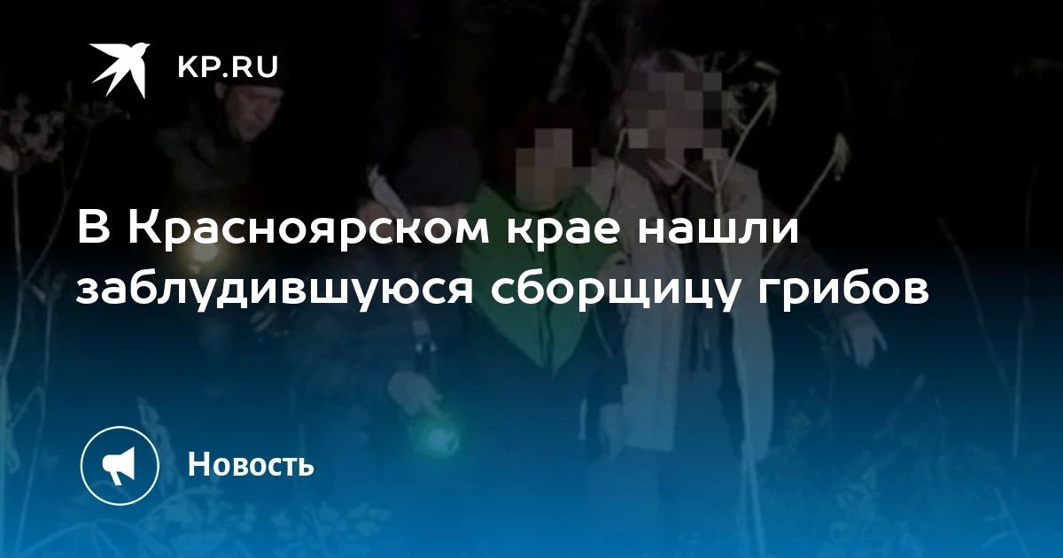 В Красноярском крае нашли заблудившуюся сборщицу грибов