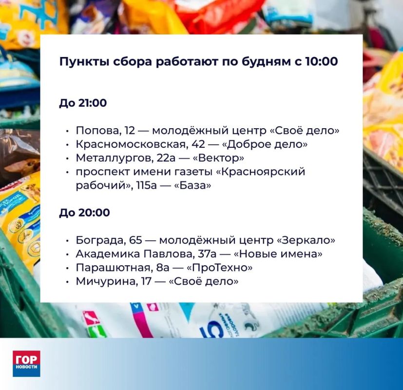 До 17 сентября красноярцы могут помочь бездомным кошкам и собакам До 17 сентября красноярцы могут помочь бездомным кошкам и собакам