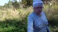 "Мы боимся. Включаем музыку, со свистками ходим": медведи, которые массово пугают жителей Красноярска, могли вплавь перебраться через Енисей с соседнего берега