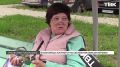 «В подъезд зашел – на лице божья коровка»: насекомые облепили дома красноярцев