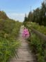 С добрым утром! 10 сентября — Анна и Савва Скирдники: хлеб убран, скирды сложены, впереди пора дождей
