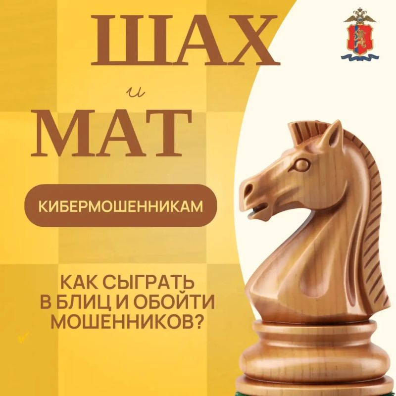 СТАВИМ ШАХ И МАТ КИБЕРМОШЕННИКАМ
