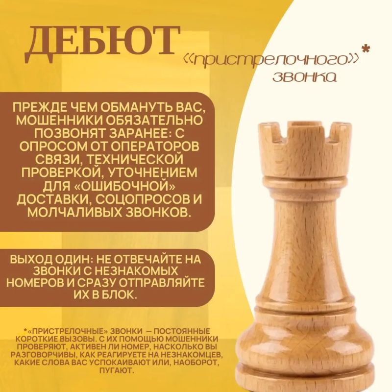 СТАВИМ ШАХ И МАТ КИБЕРМОШЕННИКАМ СТАВИМ ШАХ И МАТ КИБЕРМОШЕННИКАМ