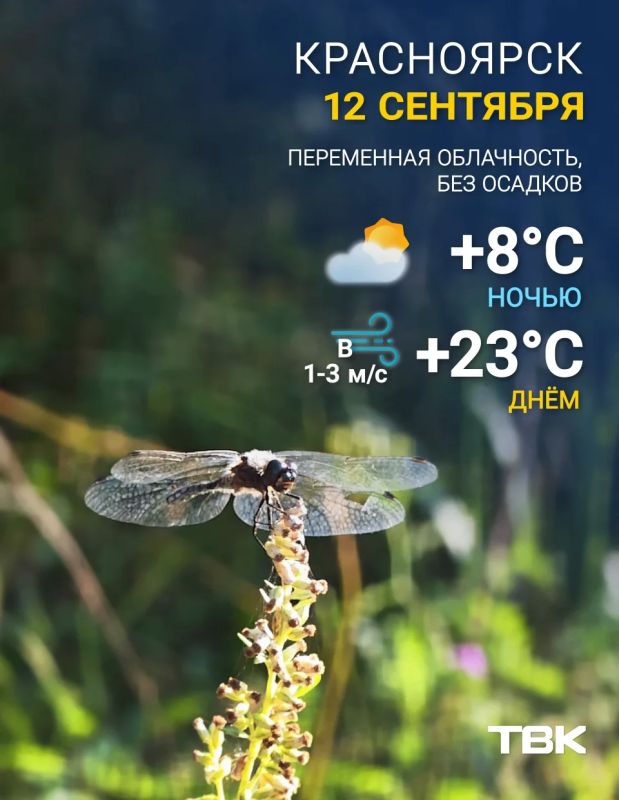 Погода на сегодня