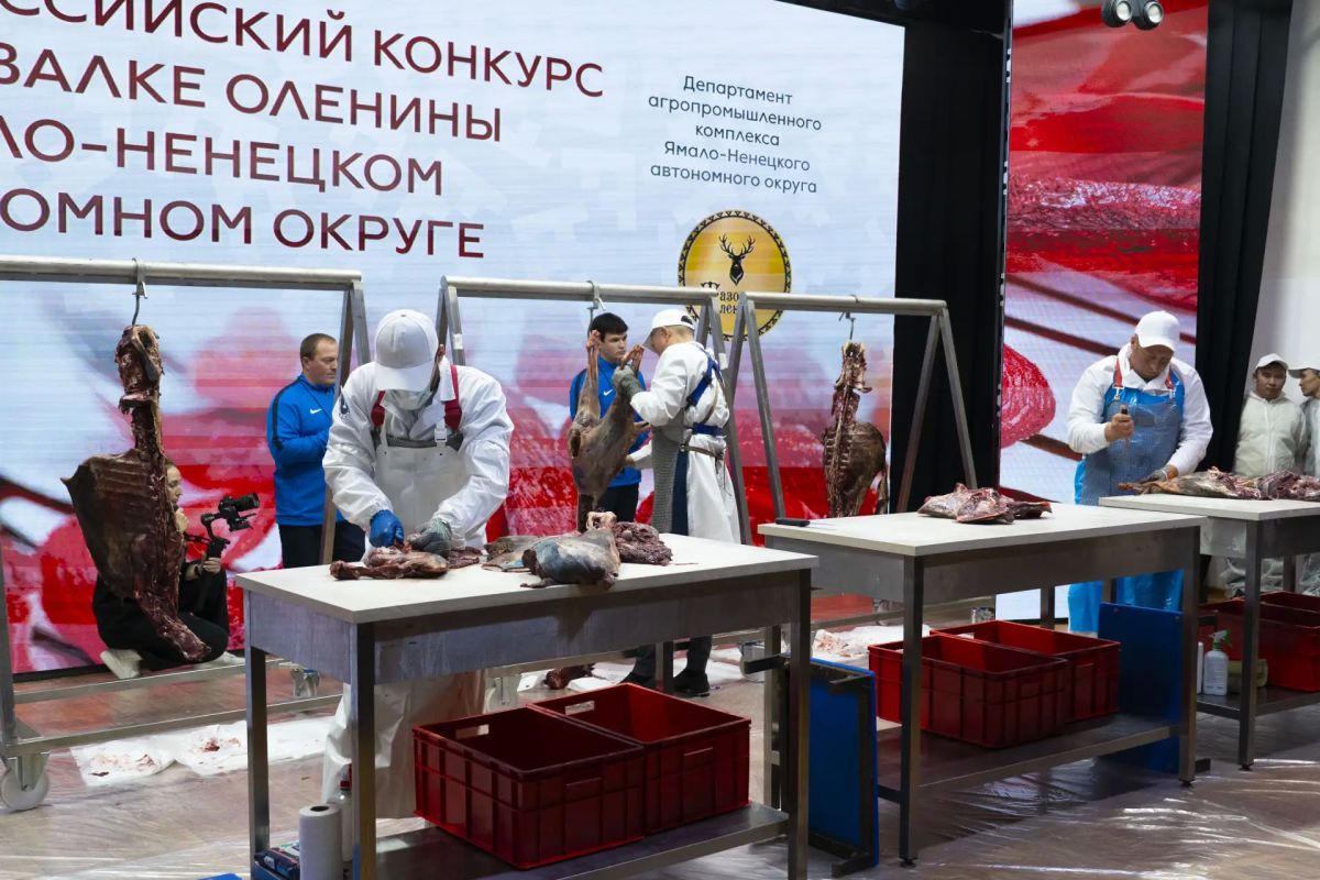Красноярский мастер вошел в тройку лидеров на всероссийском конкурсе по обвалке оленины Красноярский мастер вошел в тройку лидеров на всероссийском конкурсе по обвалке оленины