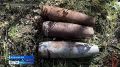 Два артиллерийских снаряда обнаружили в Ачинском округе во время сбора грибов