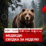 � 8 �� 14 �������� � ������ �������-������������� ������ ����������� ��������� 100 �������� �� ����������� � ��������
