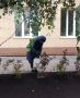 Улица Сурикова стала зеленее!