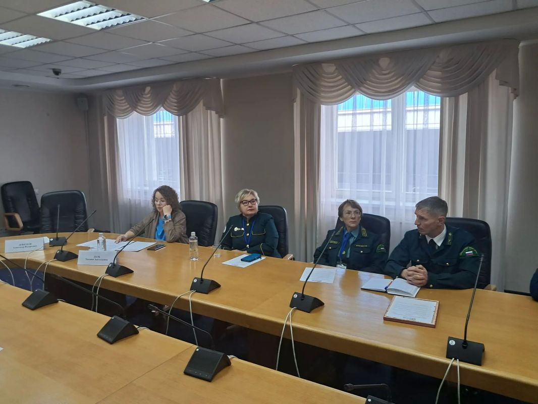 Будущее лесной отрасли: от беспилотников до подготовки кадров Будущее лесной отрасли: от беспилотников до подготовки кадров