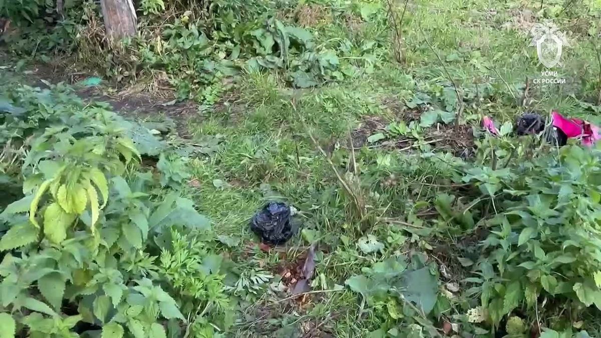 Следственный комитет опубликовал видео из Ермаковского округа, где медведь растерзал 66-летнюю женщину