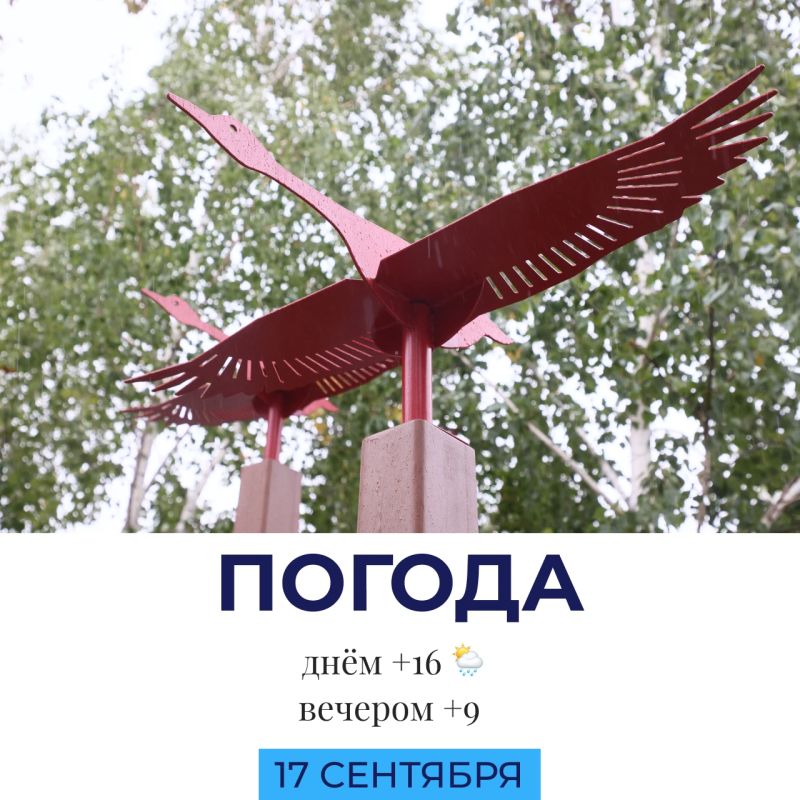 Погода сегодня
