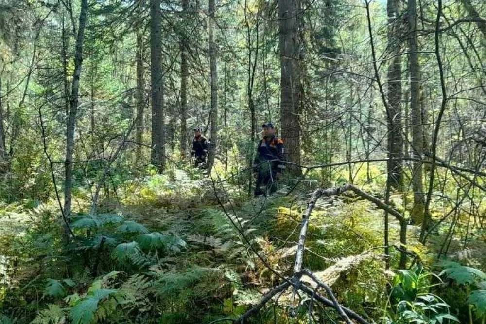 В тайге Курагинского округа спасатели третьи сутки ищут пропавшего мужчину