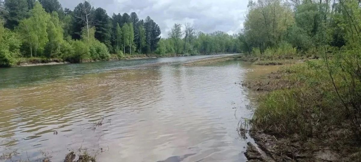 На юге Красноярского края золотодобытчики сливали отходы в реку Рудная На юге Красноярского края золотодобытчики сливали отходы в реку Рудная