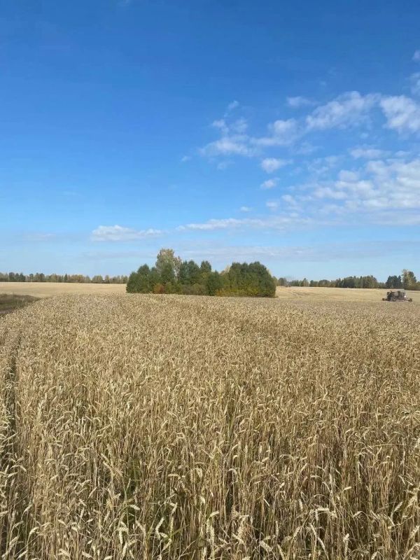 Аграрии Абанского округа продолжают уборочную кампанию Аграрии Абанского округа продолжают уборочную кампанию