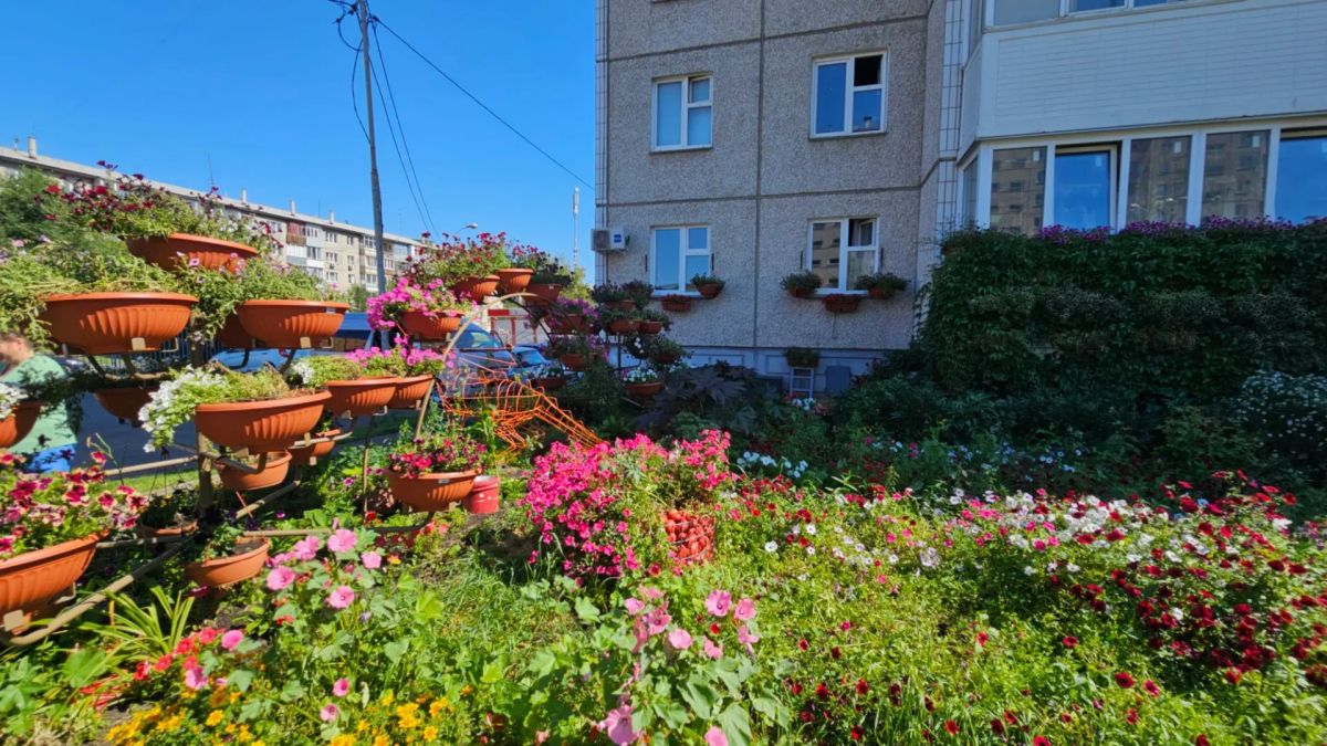 Самая красивая клумба Свердловского района Самая красивая клумба Свердловского района