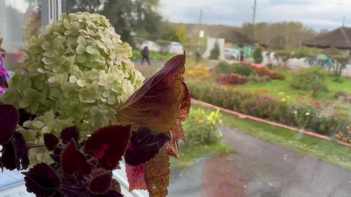 Начал день с посещения избирательного участка, проголосовал на выборах депутатов Госдумы и Законодательного собрания края