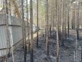 Работник базы отдыха под Минусинском выплатил 19 тысяч рублей за случайный поджог