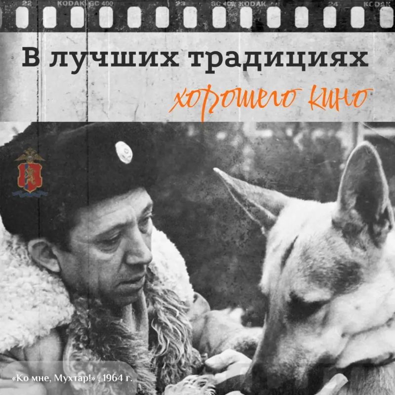 — «Интересно, в каком у вас собачка звании?» — «Полковник!»