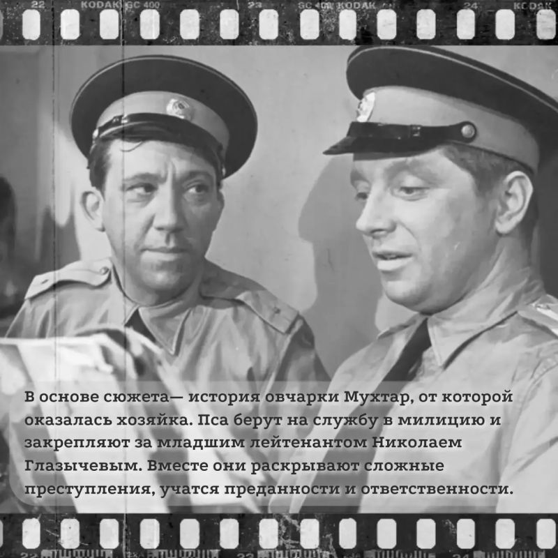 — «Интересно, в каком у вас собачка звании?» — «Полковник!» — «Интересно, в каком у вас собачка звании?» — «Полковник!»