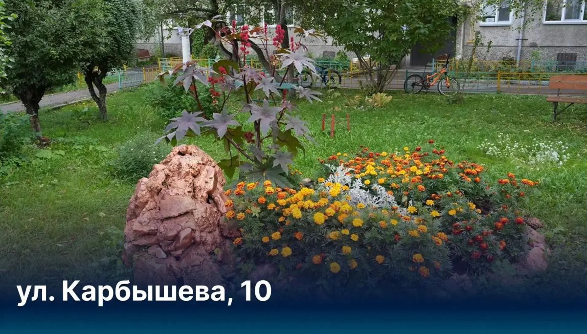 Сергей Верещагин: Мини-сад на балконе и парки во дворе: такие уютные зелёные уголки создают наши жители Сергей Верещагин: Мини-сад на балконе и парки во дворе: такие уютные зелёные уголки создают наши жители