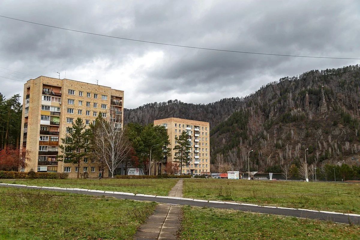 В Дивногорске из-за участившихся случаев выхода медведей ввели режим повышенной готовности