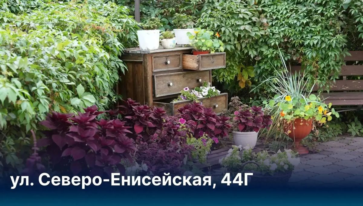 Сергей Верещагин: Мини-сад на балконе и парки во дворе: такие уютные зелёные уголки создают наши жители Сергей Верещагин: Мини-сад на балконе и парки во дворе: такие уютные зелёные уголки создают наши жители