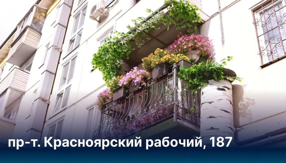 Сергей Верещагин: Мини-сад на балконе и парки во дворе: такие уютные зелёные уголки создают наши жители Сергей Верещагин: Мини-сад на балконе и парки во дворе: такие уютные зелёные уголки создают наши жители