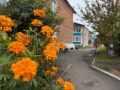 С добрым утром!. Луков день на дворе