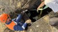 Возле Минусинска спасатели достали корову из двухметровой ямы