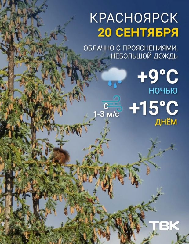 Погода на сегодня