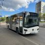 На маршрут до Овинного вышли новые автобусы