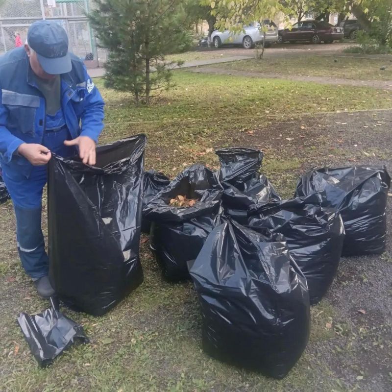 У работников Красгорпарка осенью в галерее особенно много фотографий листьев У работников Красгорпарка осенью в галерее особенно много фотографий листьев