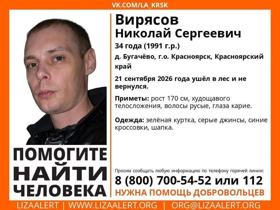 Напал медведь? В лесу под Красноярском пропал турист на квадроцикле