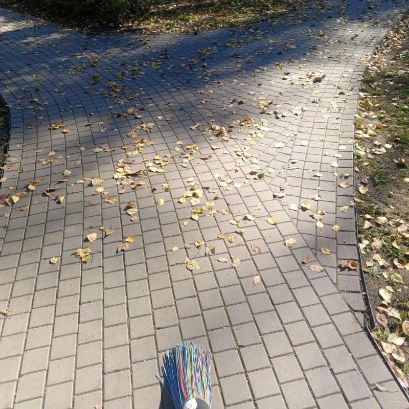 У работников Красгорпарка осенью в галерее особенно много фотографий листьев У работников Красгорпарка осенью в галерее особенно много фотографий листьев
