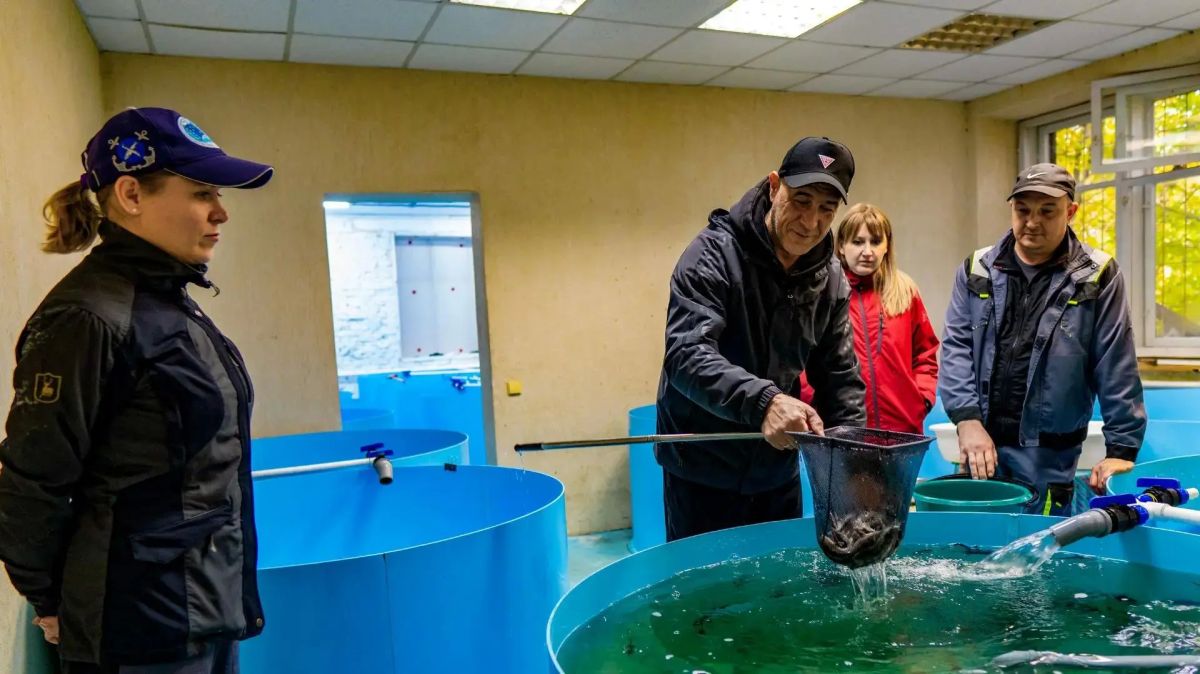От икры до Енисея. В Кедровом состоялся первый «выпускной» на рыбозаводе! От икры до Енисея. В Кедровом состоялся первый «выпускной» на рыбозаводе!