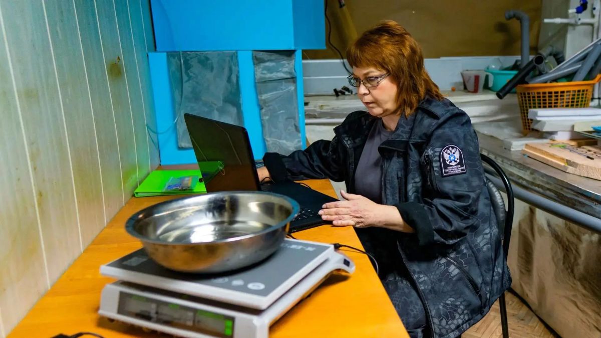 От икры до Енисея. В Кедровом состоялся первый «выпускной» на рыбозаводе! От икры до Енисея. В Кедровом состоялся первый «выпускной» на рыбозаводе!