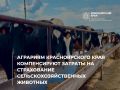 Аграриям Красноярского края компенсируют затраты на страхование сельскохозяйственных животных